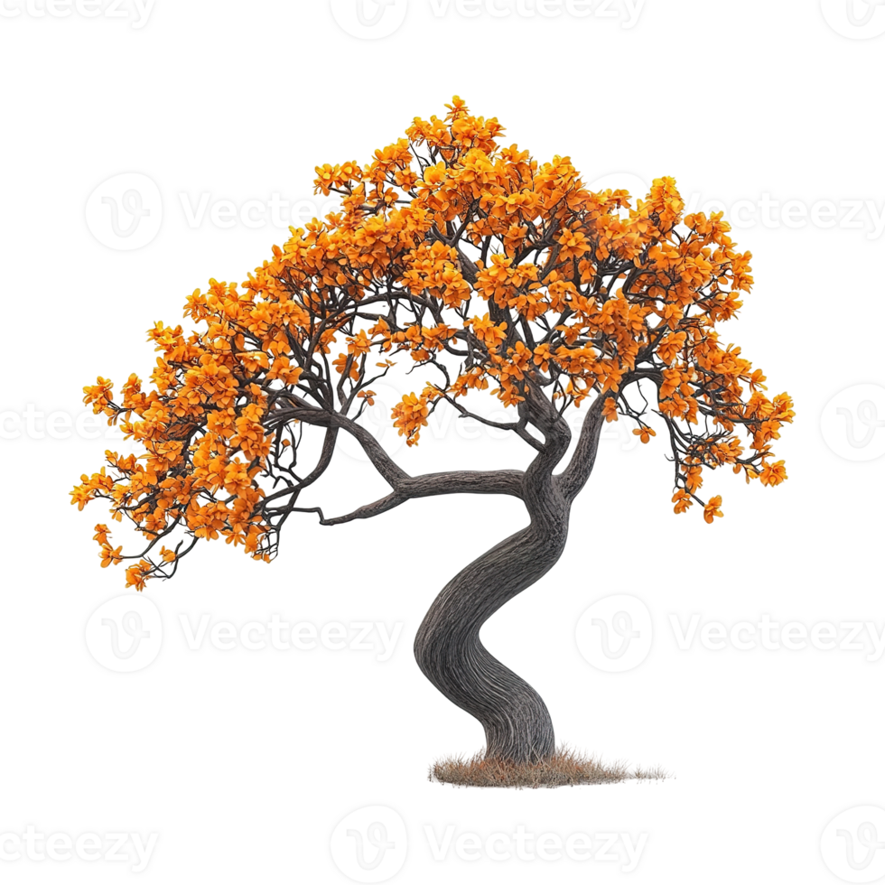A decorative tree with orange leaves and a twisted trunk png