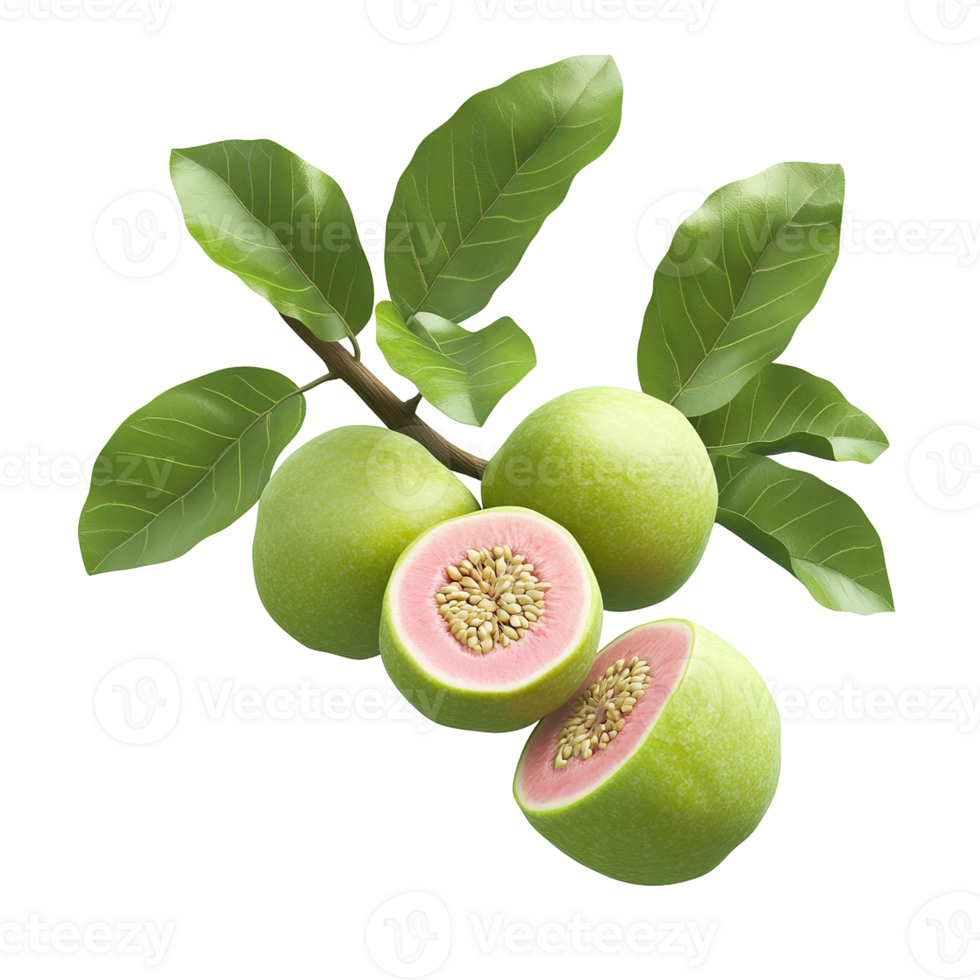 Fresh guavas with green leaves and pink fruit cut open png
