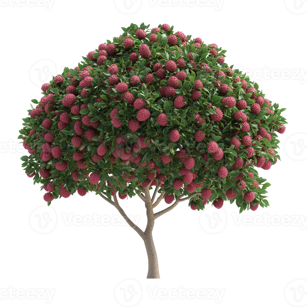 A lush green tree adorned with numerous red fruits is shown png