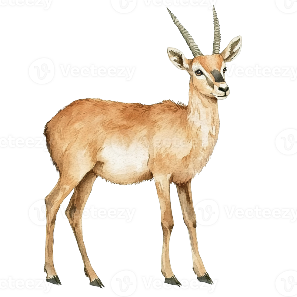 A watercolor painting depicting a standing antelope with long horns png