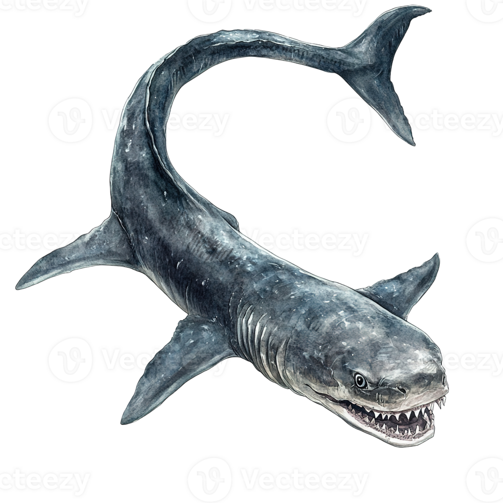 A watercolor illustration depicts a large shark swimming gracefully in water png