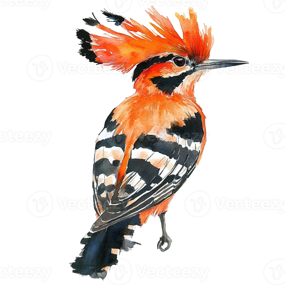 A colorful illustration of a hoopoe bird with orange feathers png