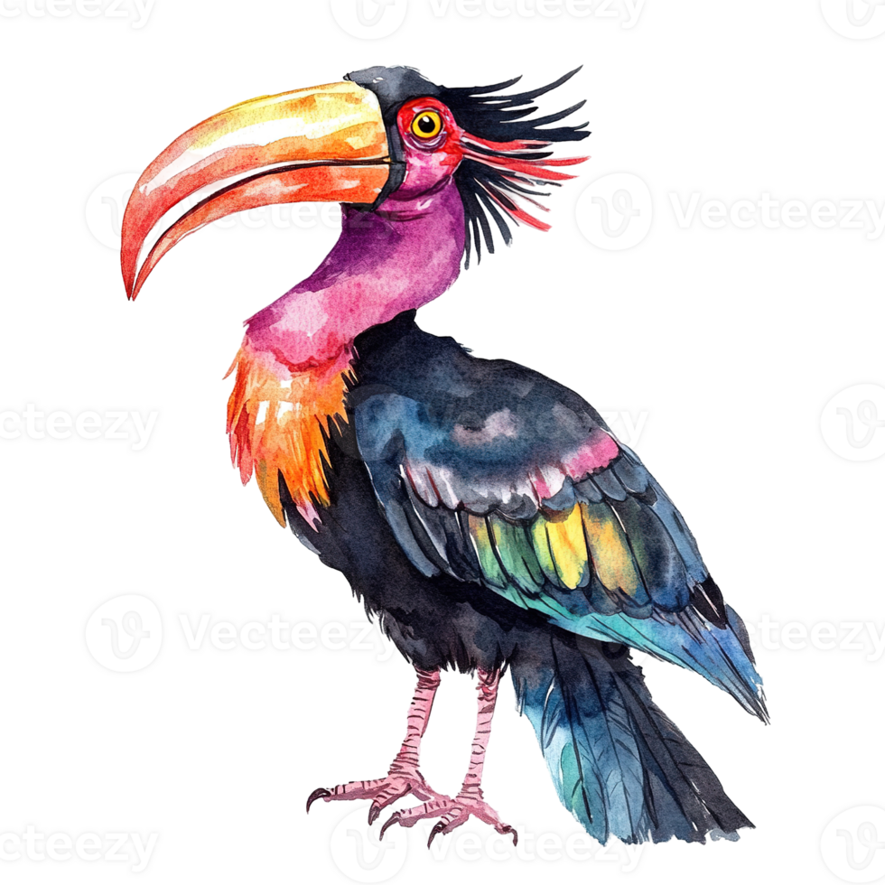 A colorful and artistic watercolor depiction of an exotic bird png