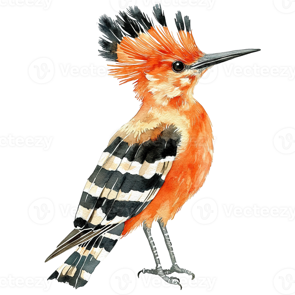 Detailed watercolor painting depicting a vibrant bird with elegant features png