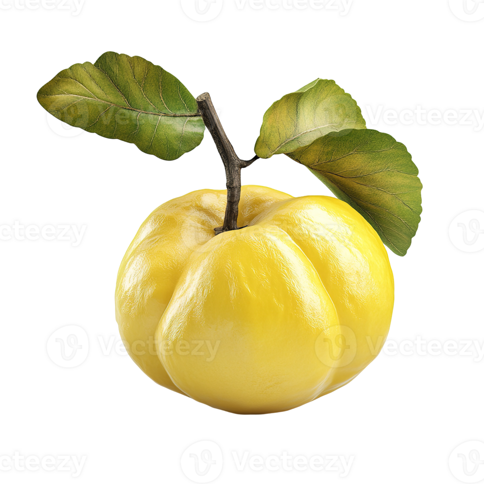 A yellow quince fruit with green leaves and dark stem stands alone png