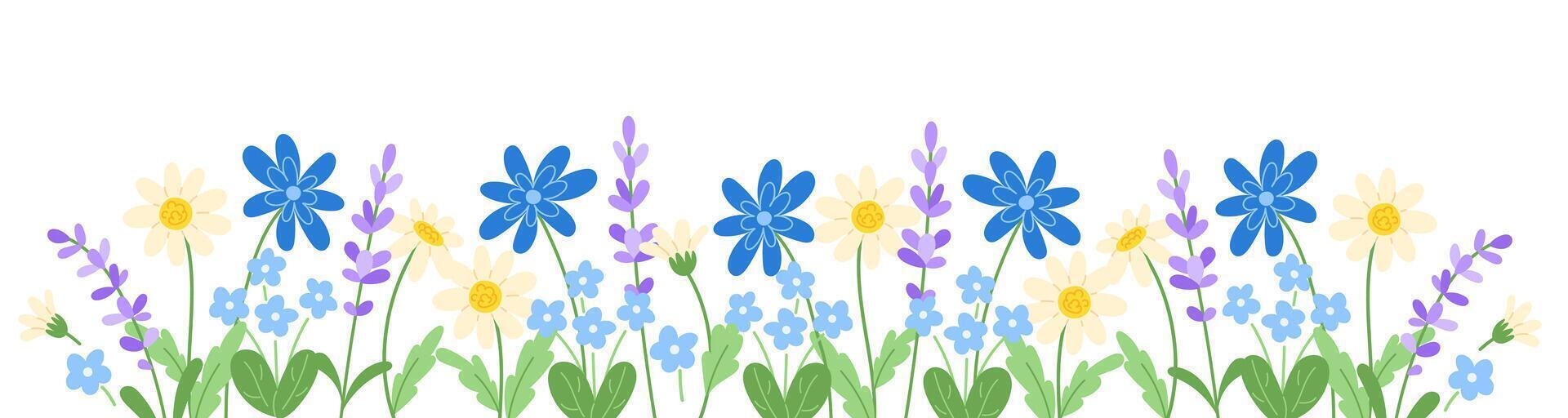 Floral border of wildflowers of blue, white and purple colors. Botanical decoration of spring flowers on a green meadow vector