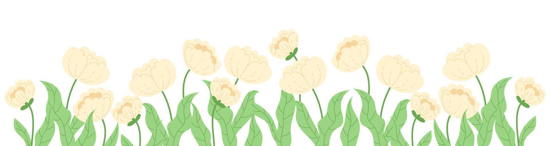 Floral border with white peonies. Botanical decoration of spring flowers on a green meadow vector