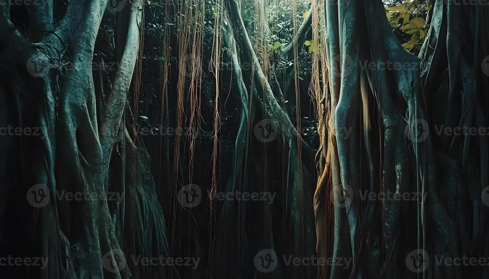 A dark forest with many trees and vines photo