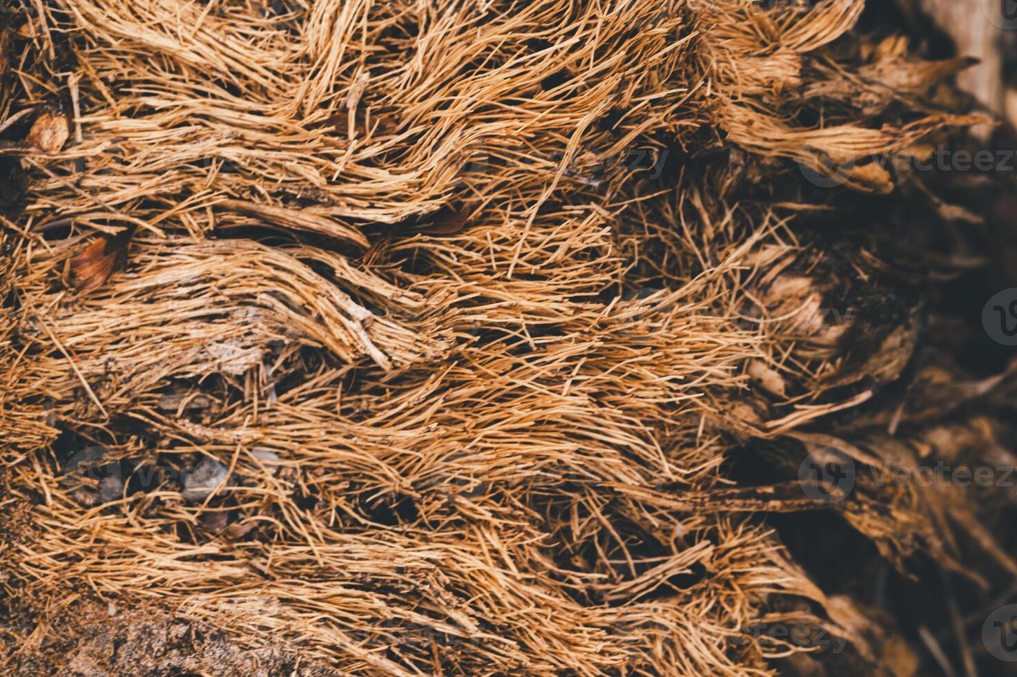 Detailed Close-Up of Natural Brown Fiber Texture in Organic Material photo