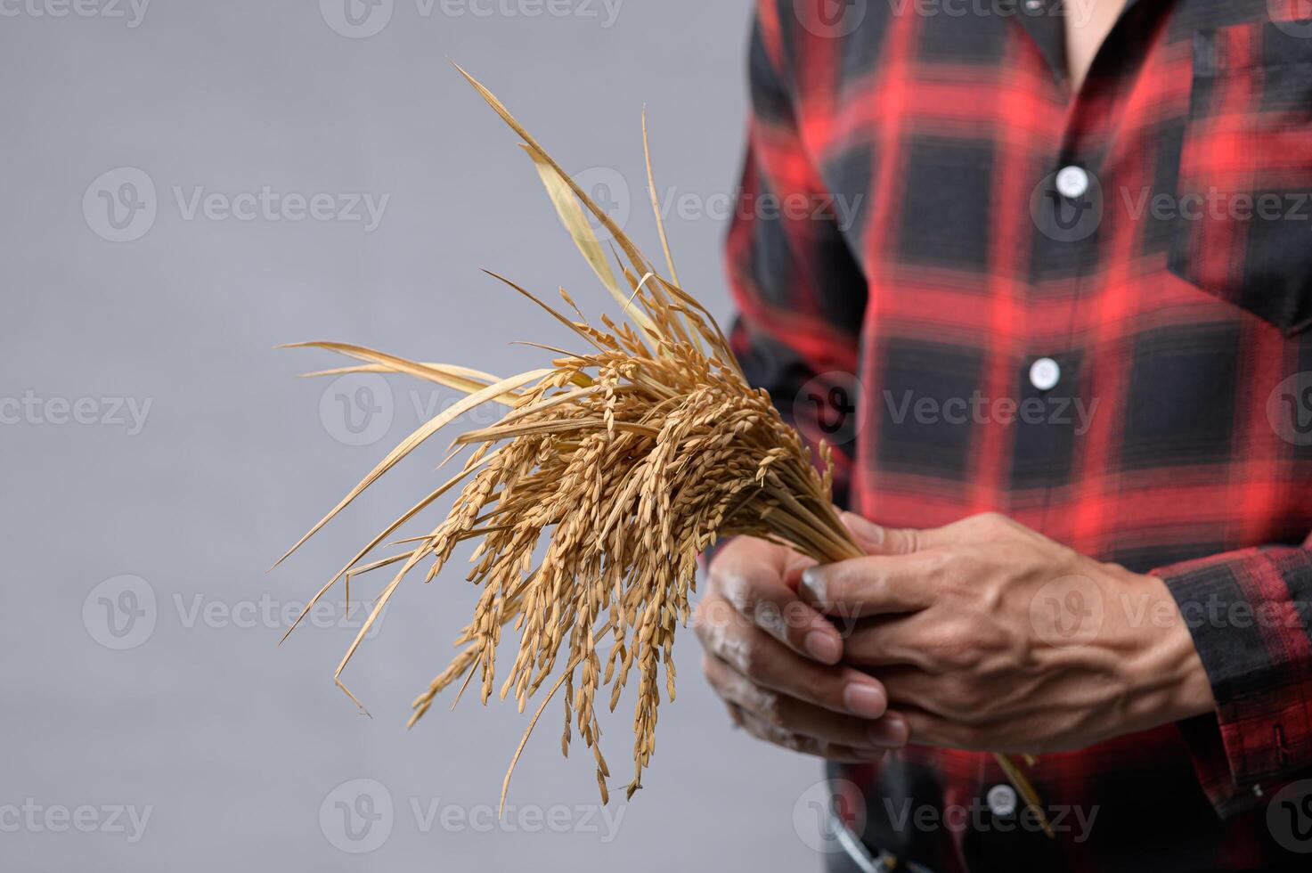 Person Holding Dried Rice Grains with Casual Red Plaid Shirt photo
