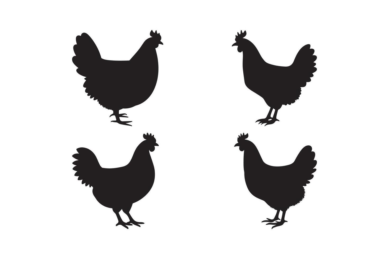 Farm Chicken Silhouettes Illustration for Logo and Print Desgin vector