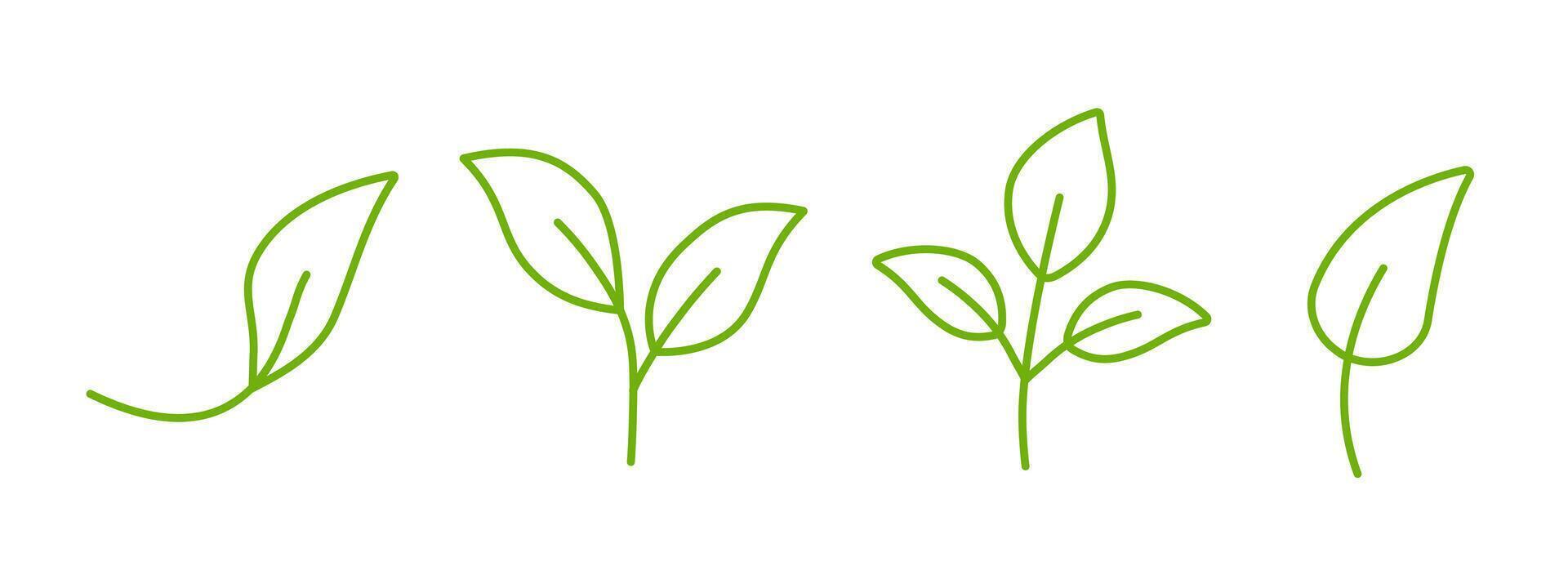 Green leaf icon with outline design for eco-friendly and natural themes. vector