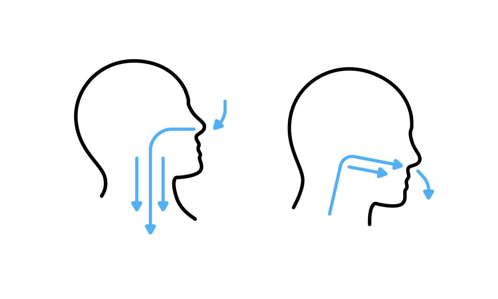 Diagram illustrating nasal breathing benefits and techniques for better health vector