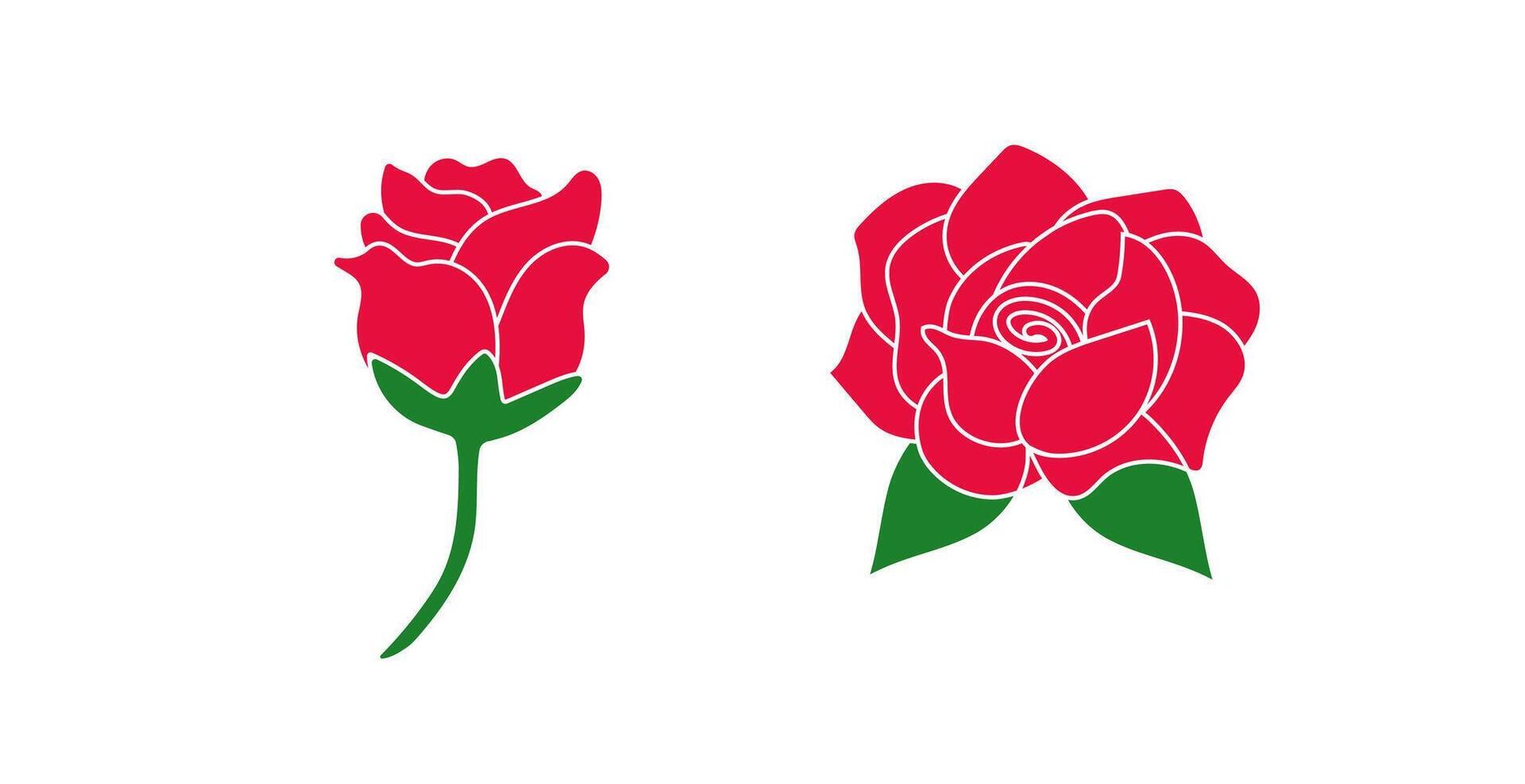 Simple red rose and blooming flower with green leaves on clear background vector