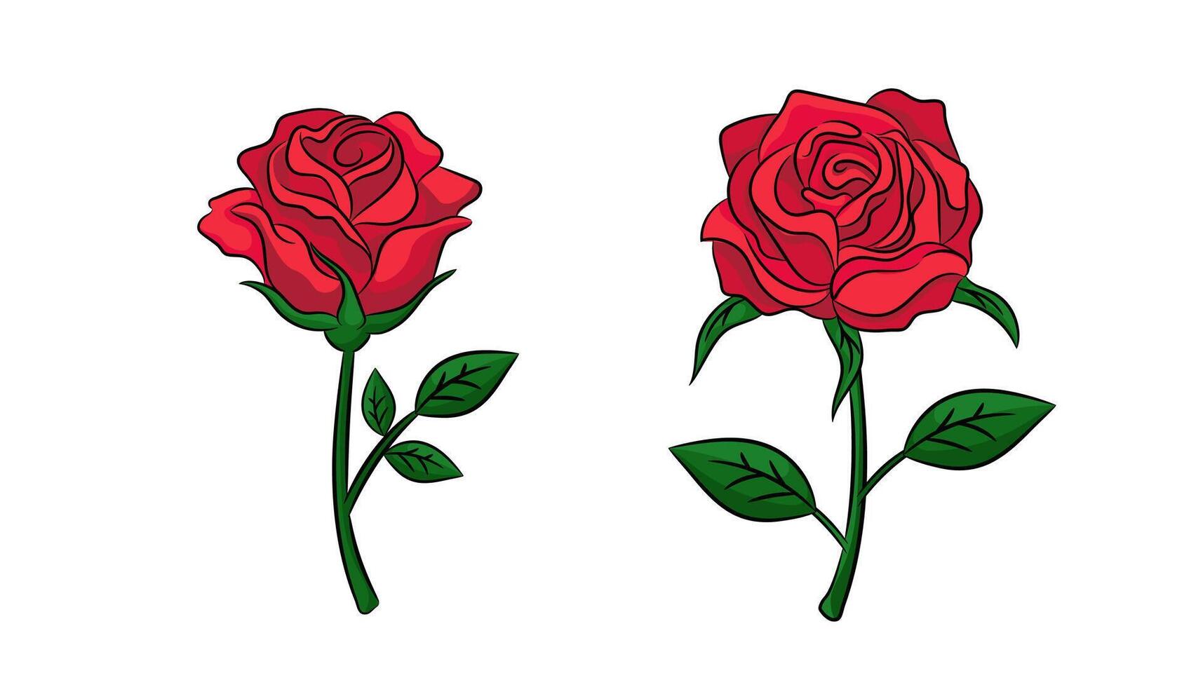 Two vibrant red roses with green leaves captured in beautiful artistic detail and simplicity vector