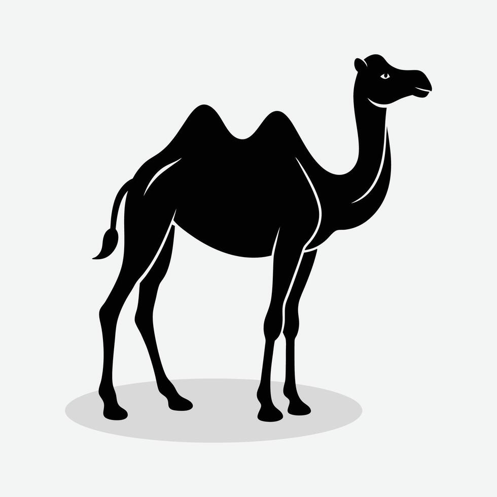 a camel is standing in front of a white background. vector