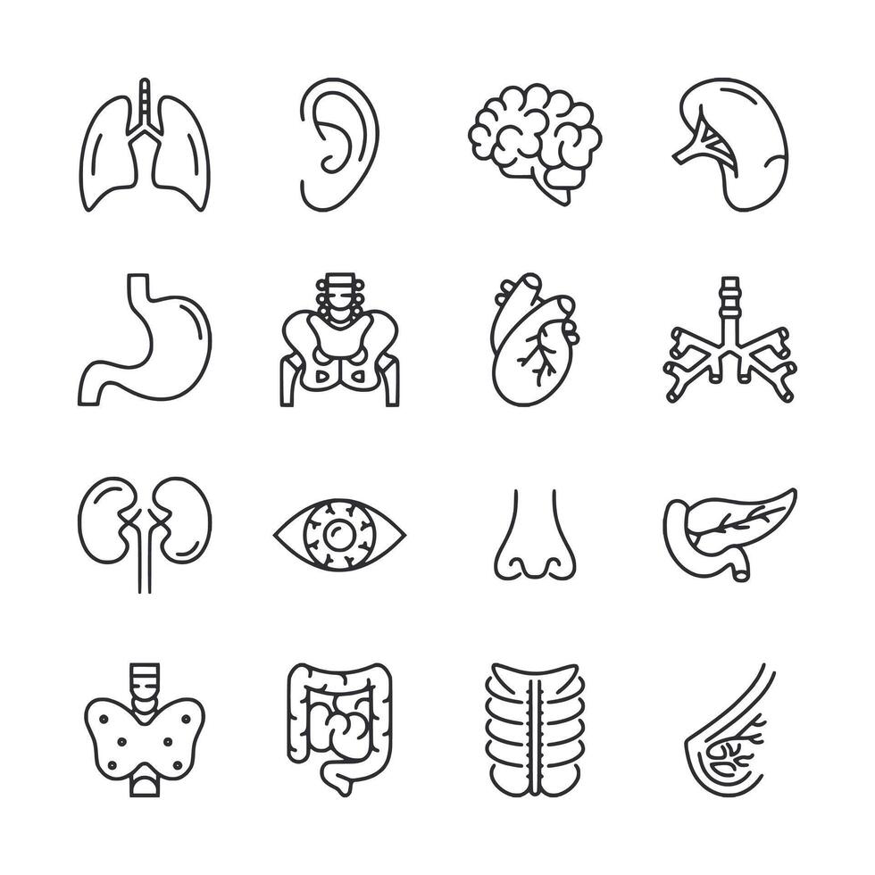 A set of medical illustrations in black and white vector