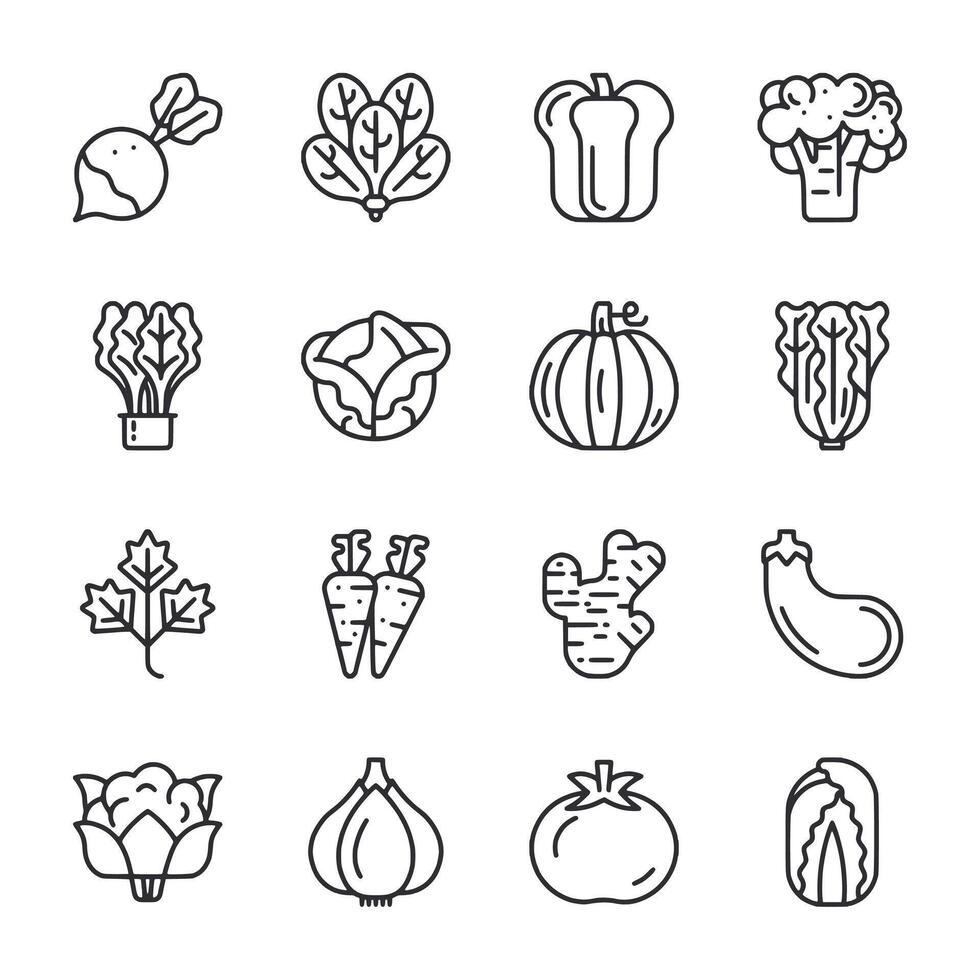 A set of vegetables and fruits in a line vector