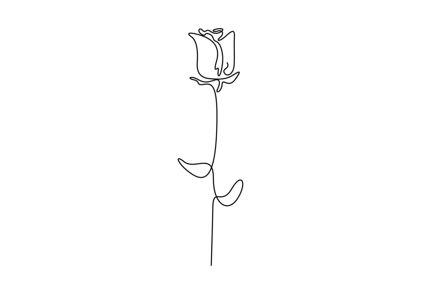 Continuous single line drawing of rose flower. One line art flower icon. Graphic illustration vector