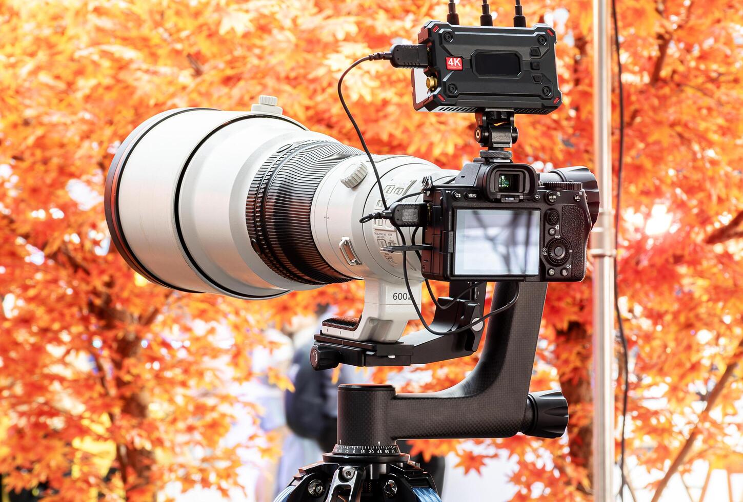 Back view digital camera with telephoto lens on tripod and orange leaves blur background photo
