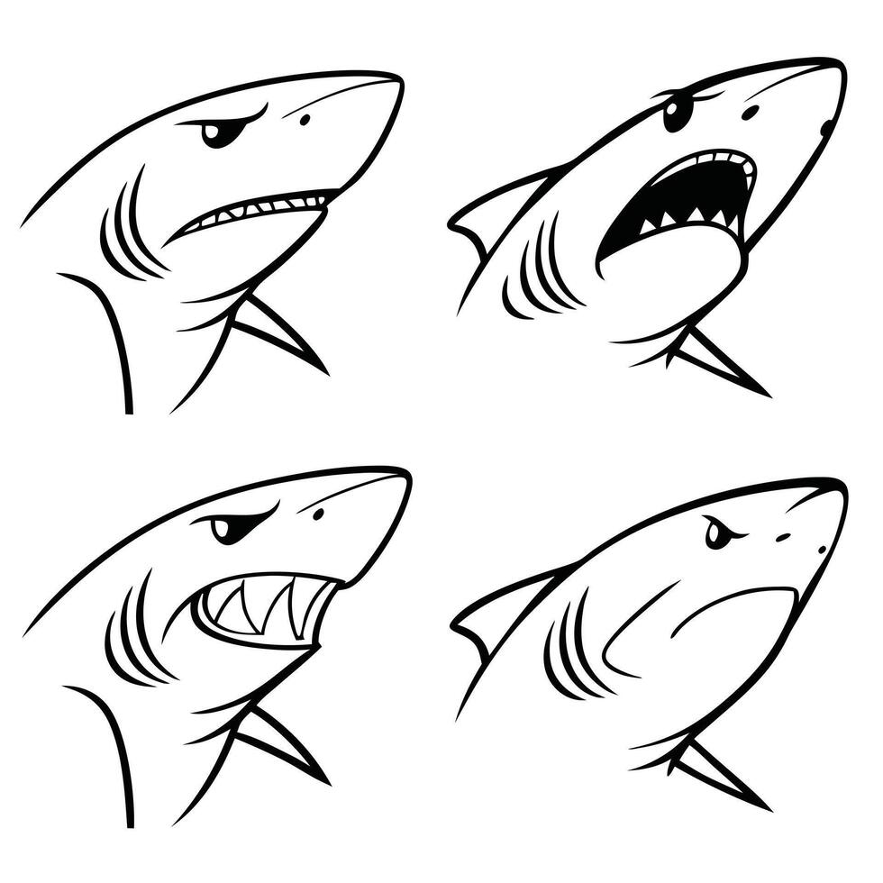 Sleek Shark Line Art Minimalist Illustration vector