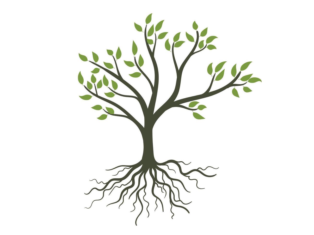 Hand drawn tree with Roots and leaves illustration vector
