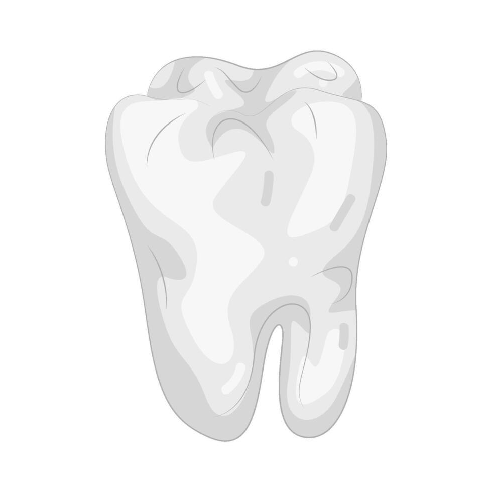 Illustration of a Tooth vector