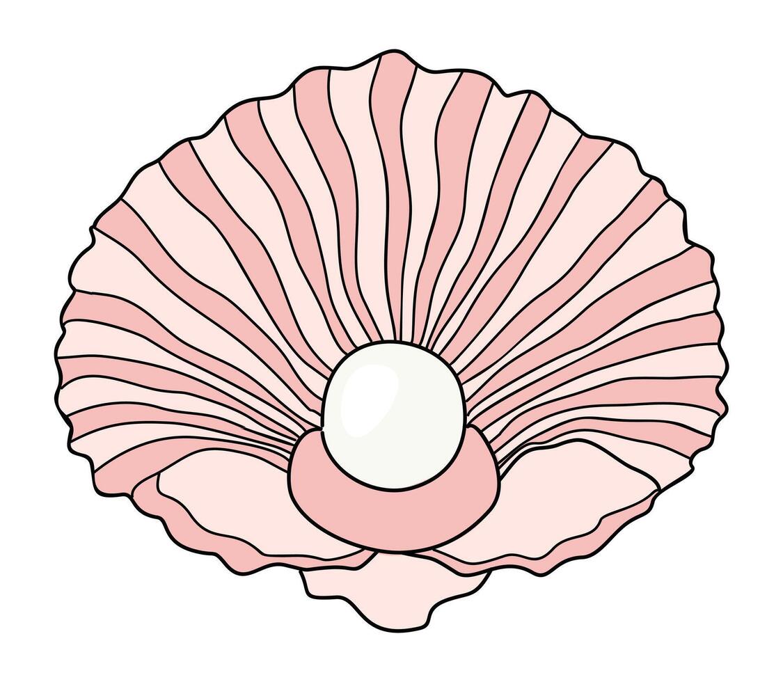 Open seashell with a pearl inside isolated vector