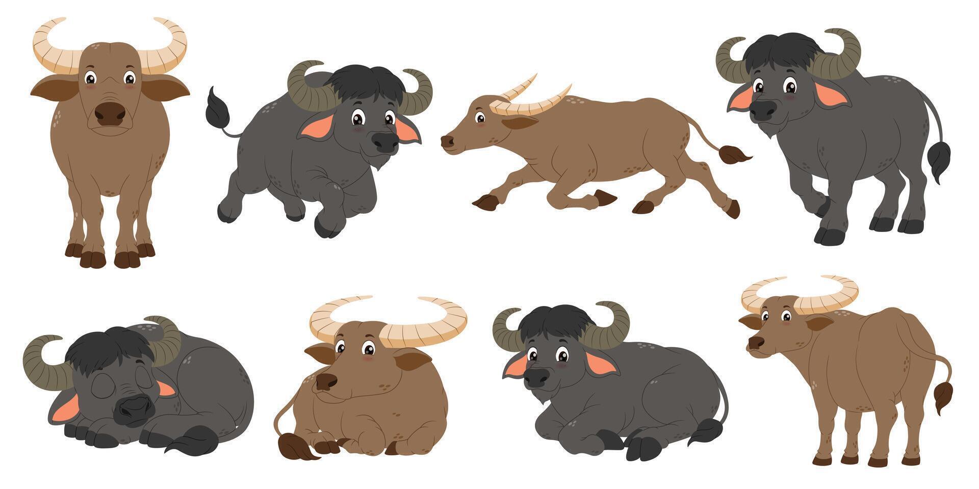 Eight cartoon water buffaloes in various poses, perfect for children's books, educational materials, for farm themed designs. Cute and charming characters. vector