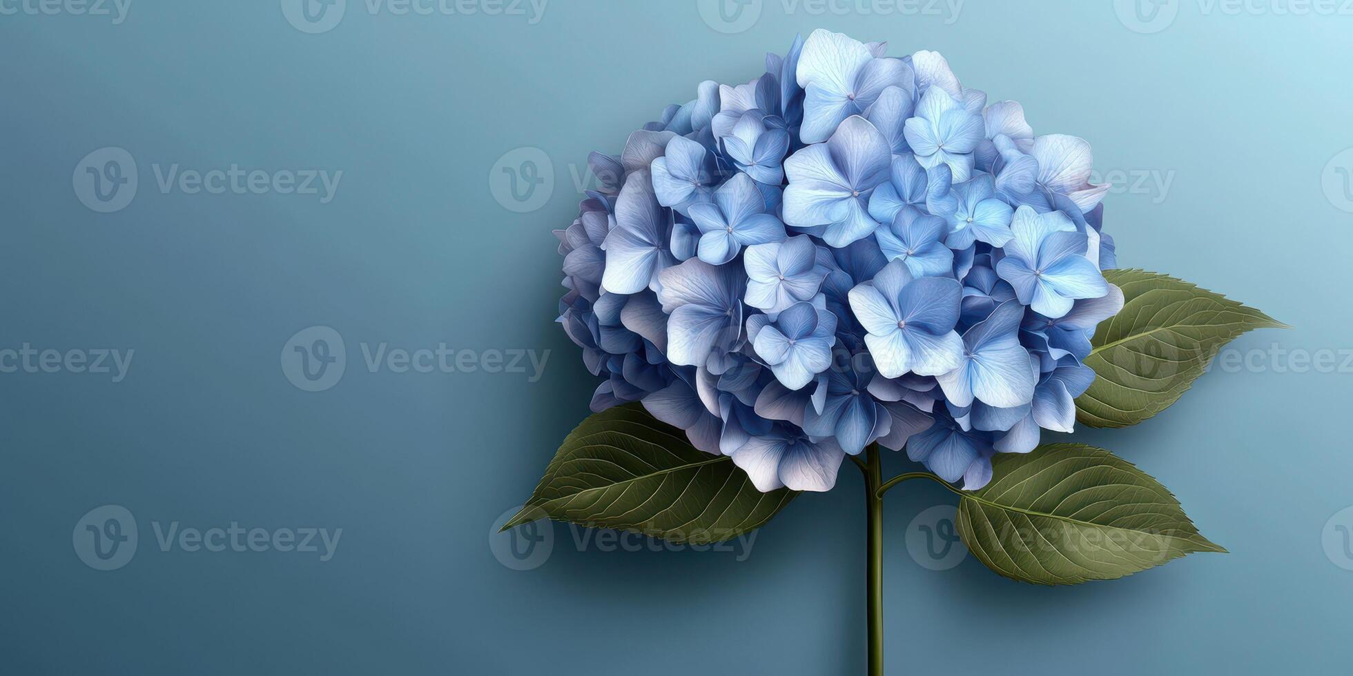 Beautiful blue hydrangea flower against a soft blue background, showcasing delicate petals and vibrant leaves photo