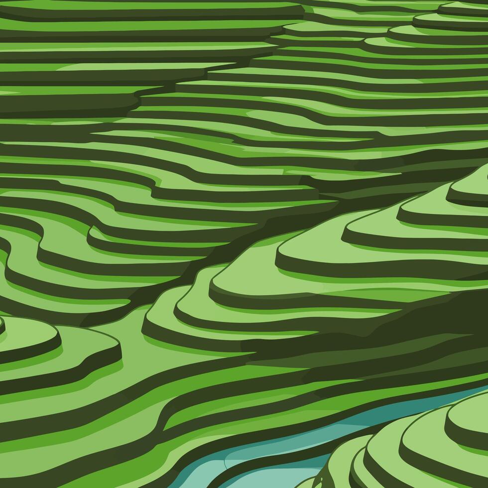 Green Terraced Rice Fields Illustration with Water Stream Landscape Art vector