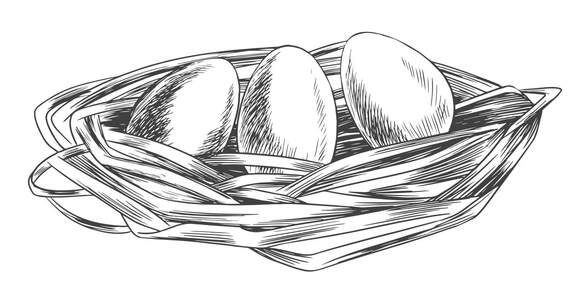 Nest with Easter eggs isolated on white background. Eggs lie in the nest. Sketch style Easter illustration. vector