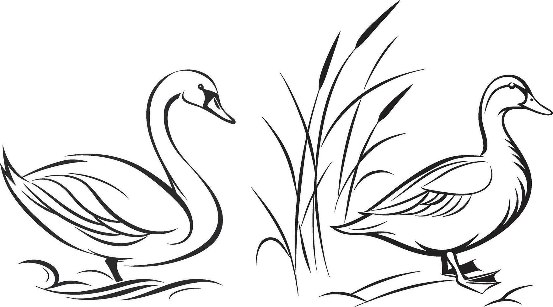 Tow Minimalist duck silhouette with smooth, elegant lines in the river vector