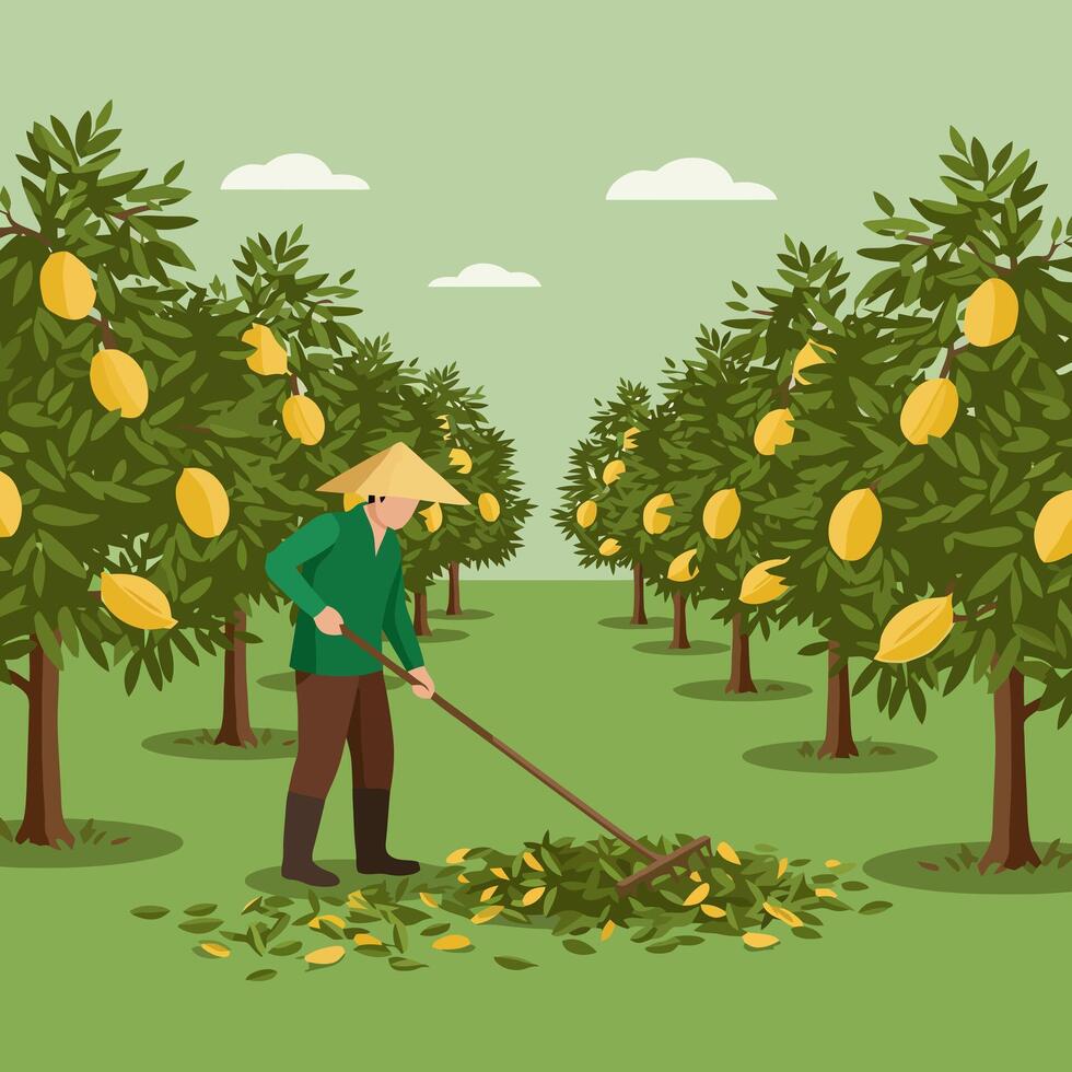 Farmer Raking Leaves in Orchard with Fruit Trees Illustration vector