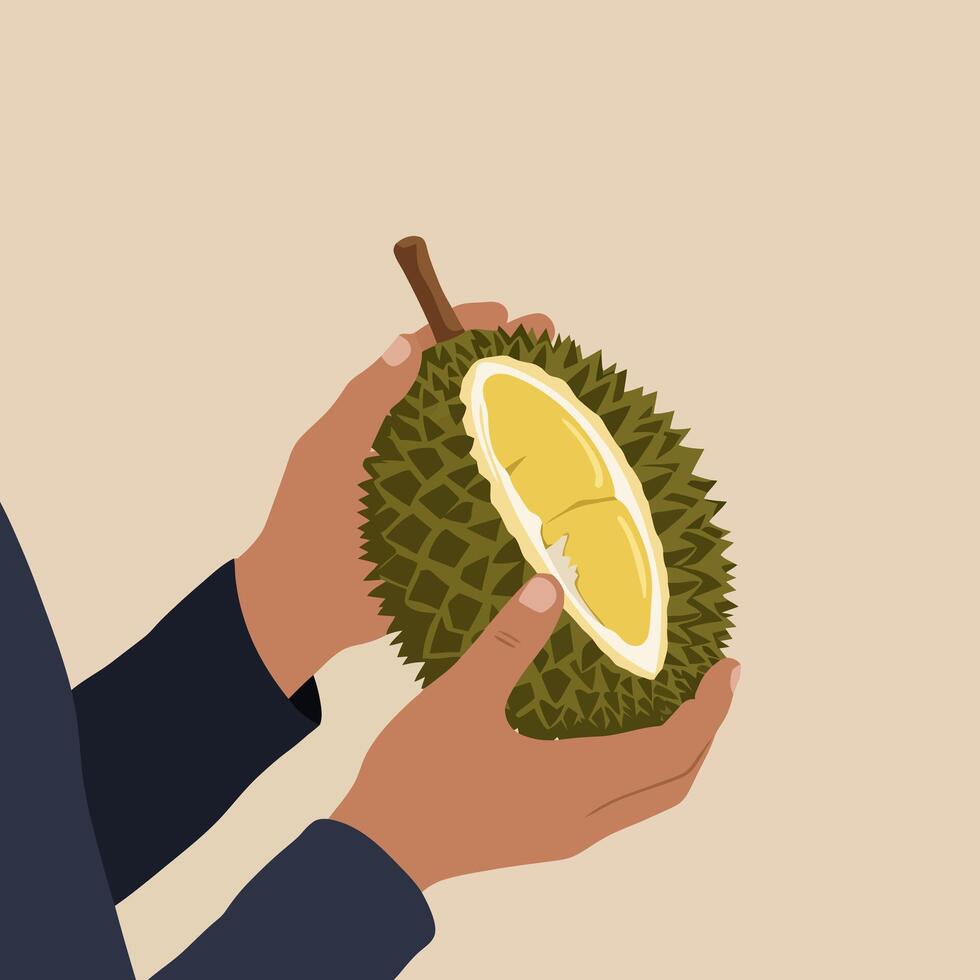 Holding a Ripe Durian Fruit Ready to Eat Exotic Delicacy vector