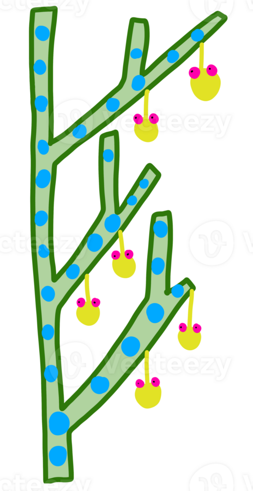 Tree with eyes fruit png