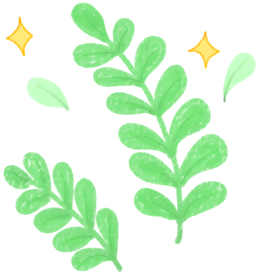 Green leaves with stars on black background png