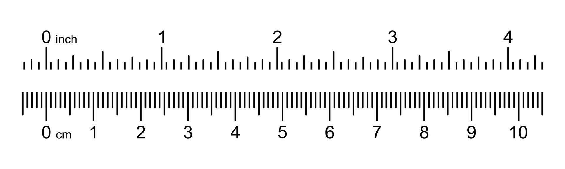 Dual Scale Ruler with Inches and Centimeters Illustration vector