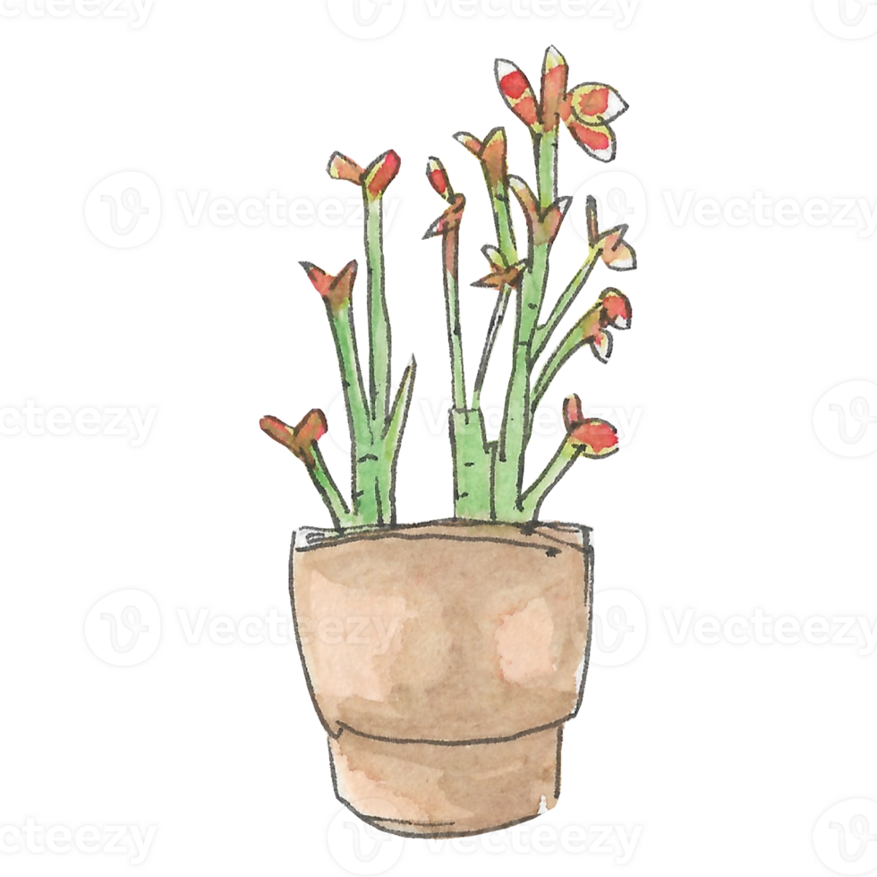 A tree with red leaves in a brown pot that is drawn and painted by hand in watercolor fine art style png