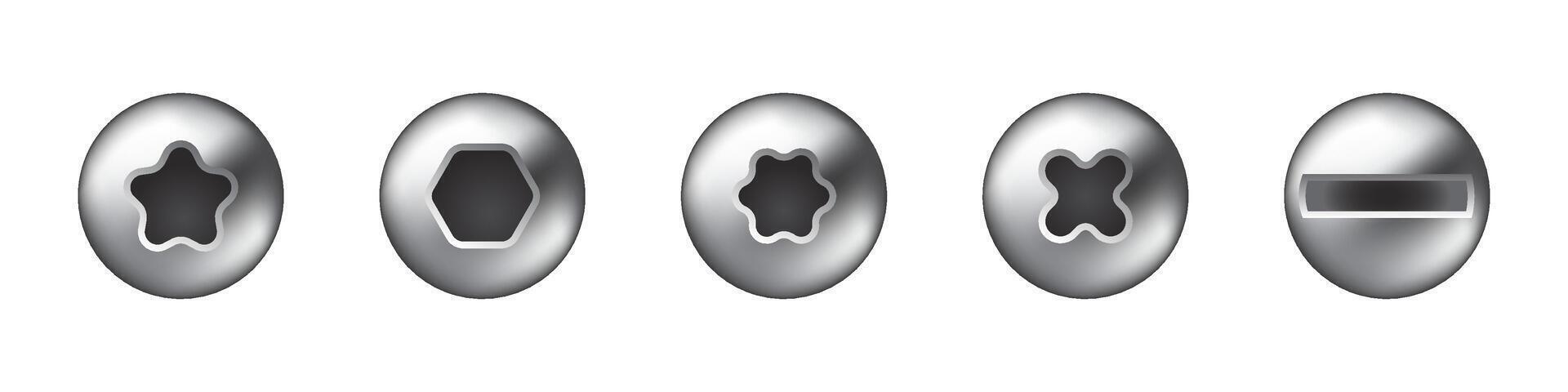 Screw Head Types with Different Drive Shapes Set vector