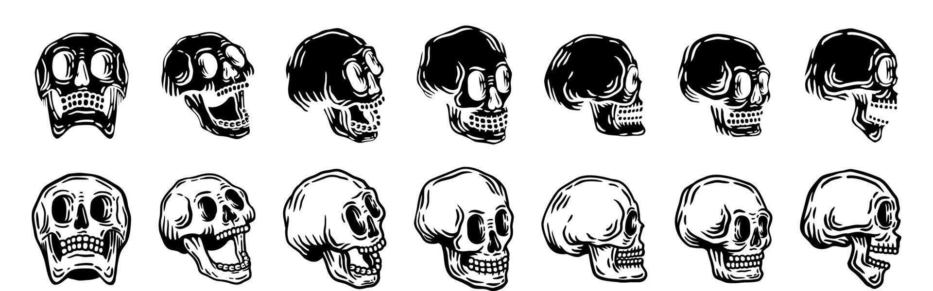 Hand-Drawn Skull Illustrations Set vector