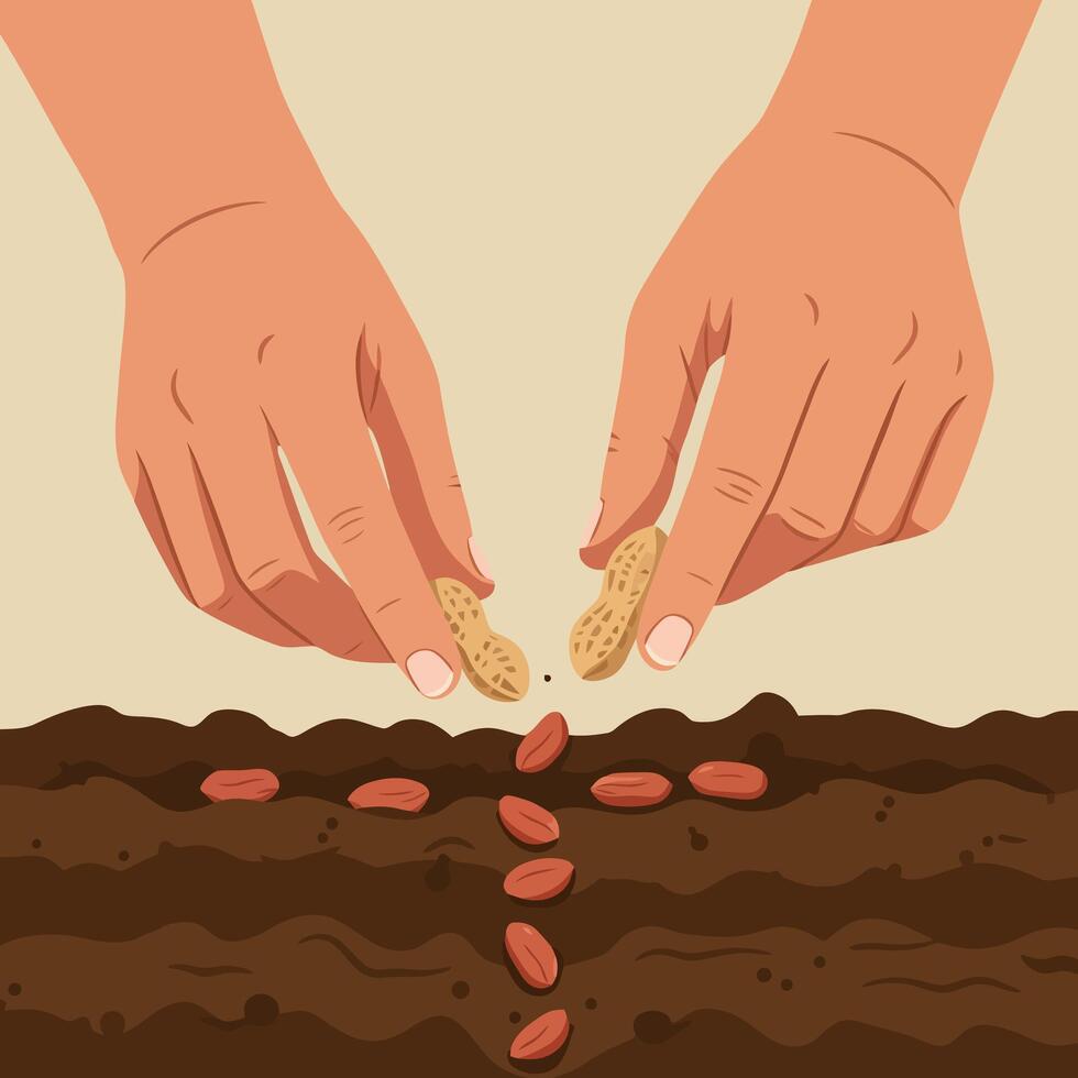 Hands Planting Seeds in Soil for Growth and Agriculture Concept vector