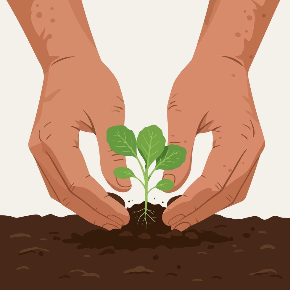 Hands Planting Young Seedling Into Soil for Growth and Nurturing vector