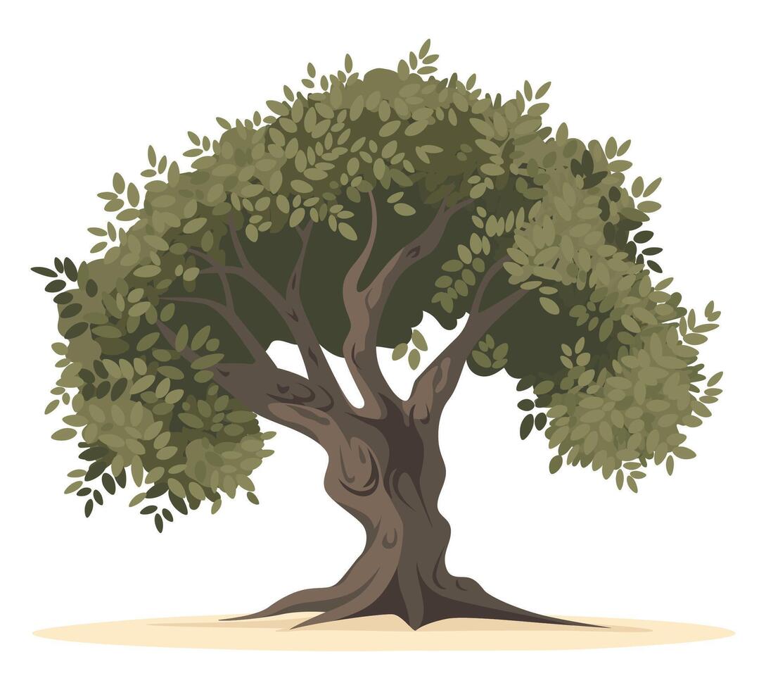 Olive tree. Hand drawn watercolor. illustration design. Icon vector