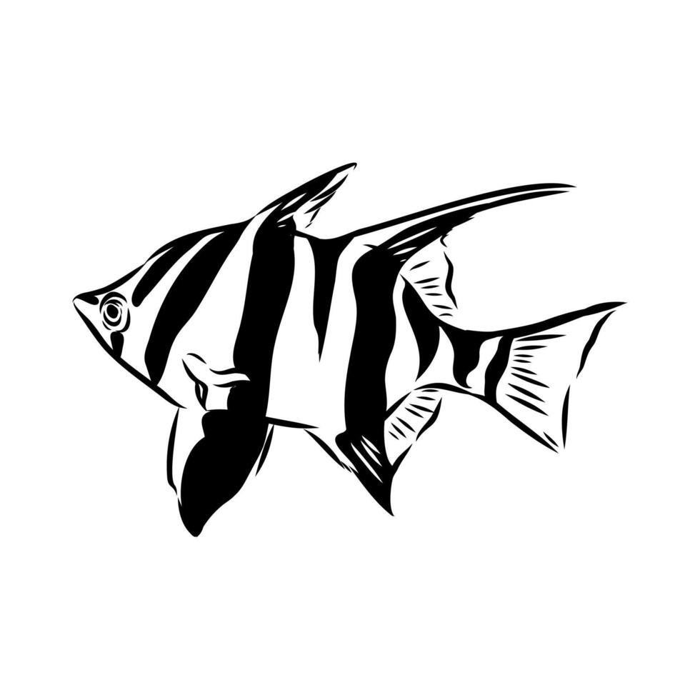 marine striped fish Australian stickleback sketch vector