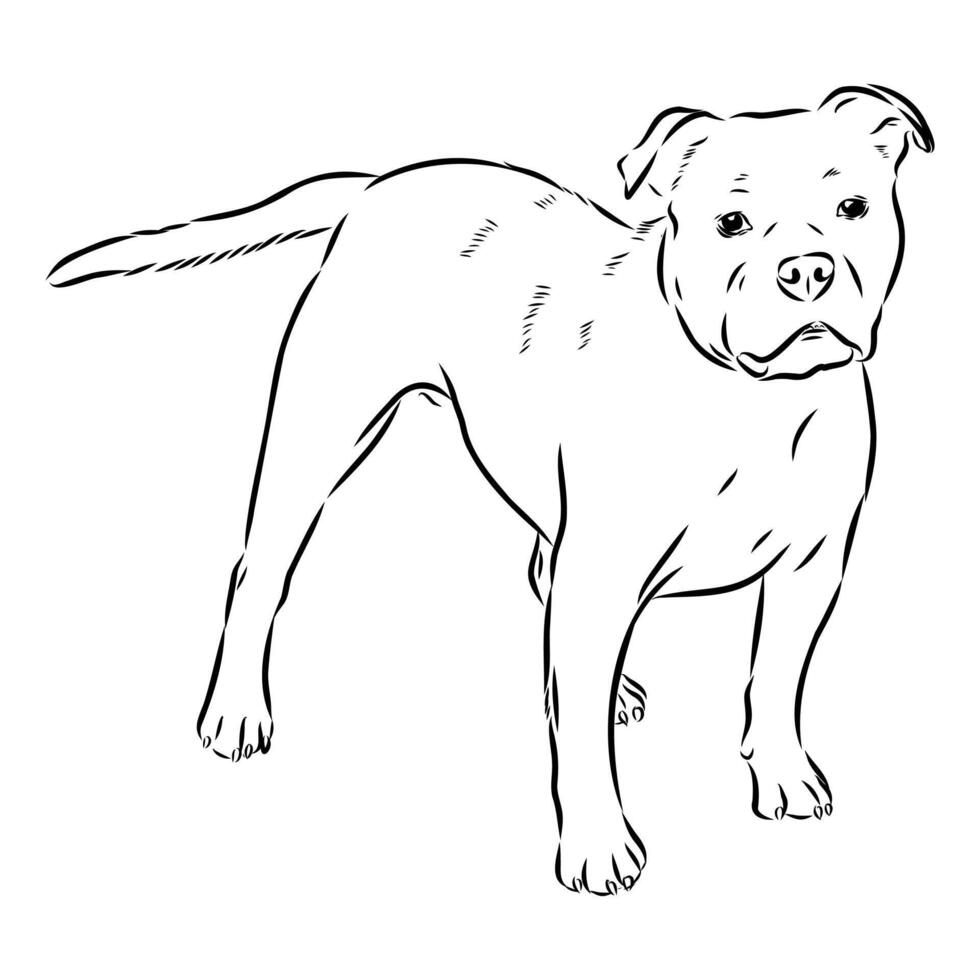 Alapakh bulldog dog hand sketch vector