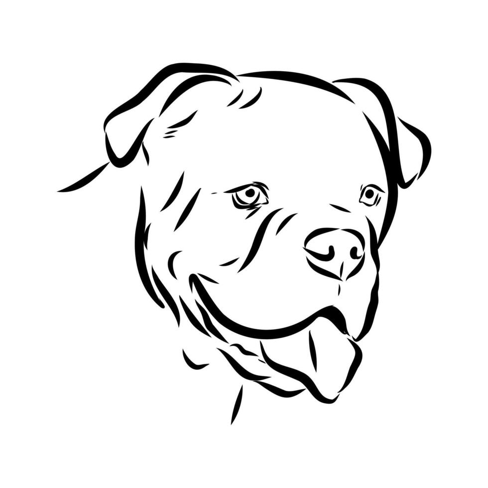 Alapakh bulldog head handmade sketch vector