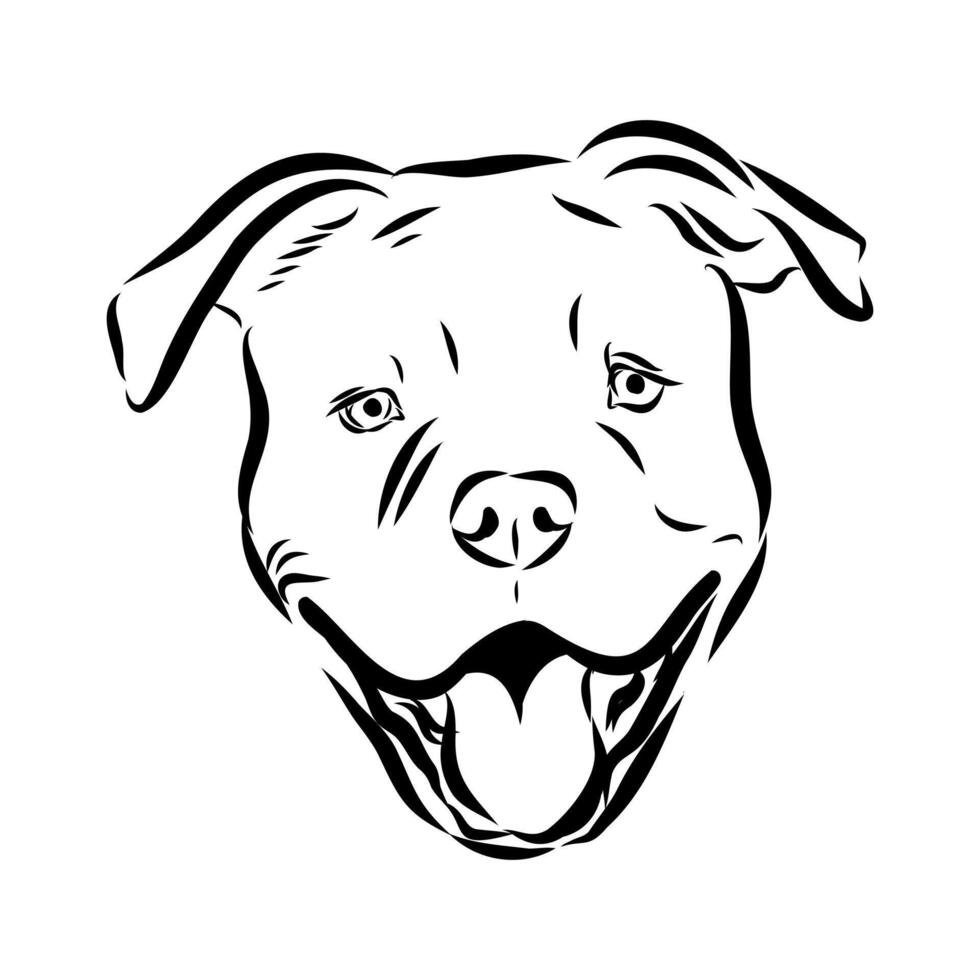The head of a powerful Alapakh bulldog dog is hand-drawn vector
