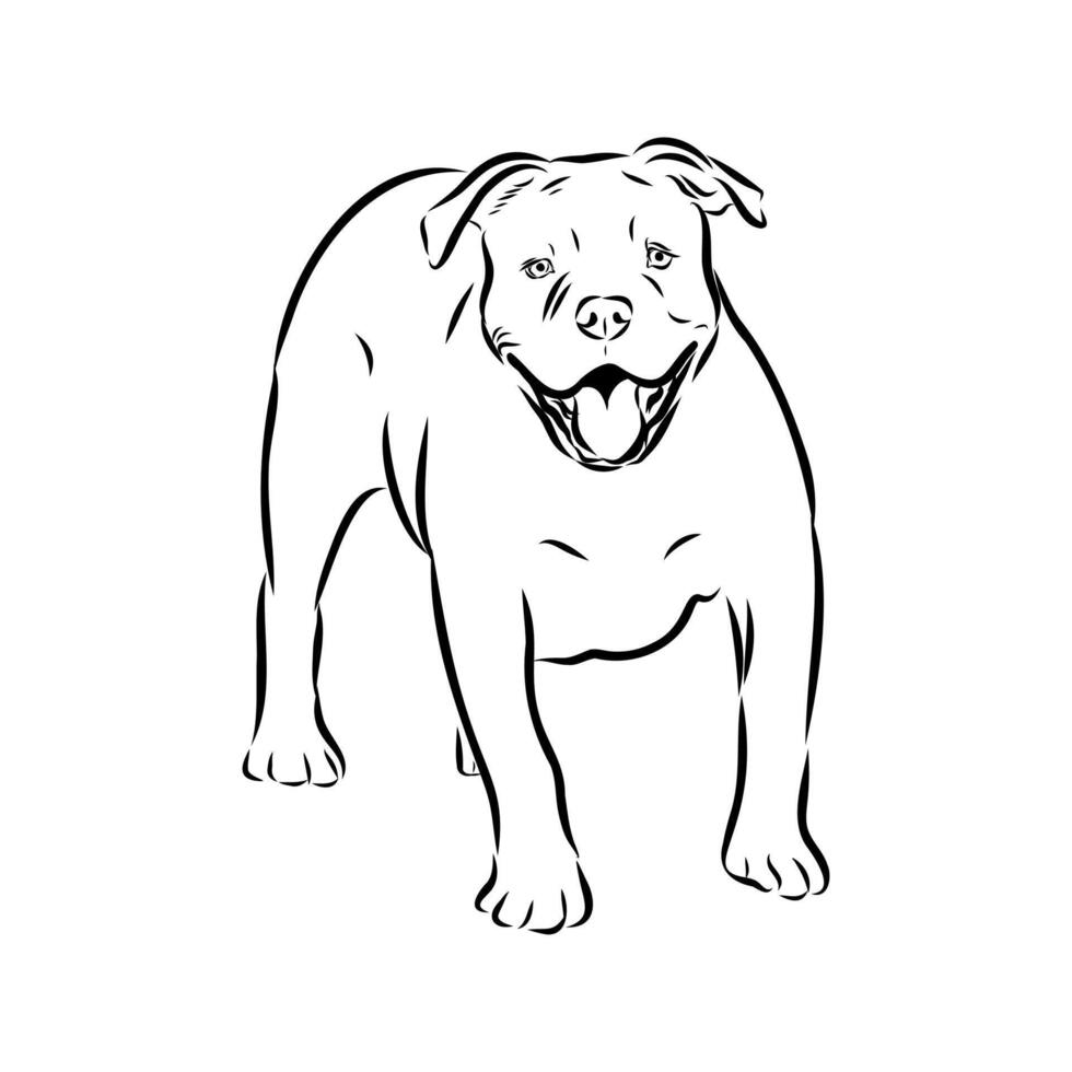 security dog American Alapakh bulldog sketch vector