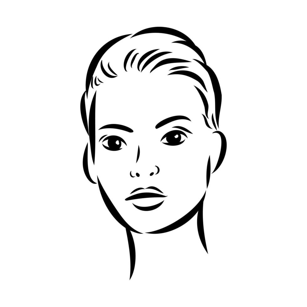 The head of a graceful girl model sketch vector